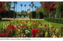 虎扑-西班牙塞维利亚有一座神秘的皇家公园？