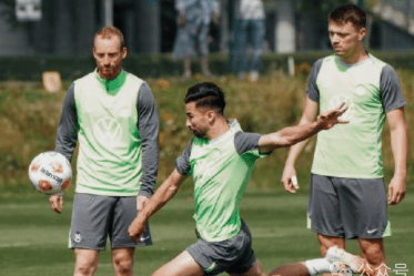 海登海姆 VS 沃尔夫斯堡