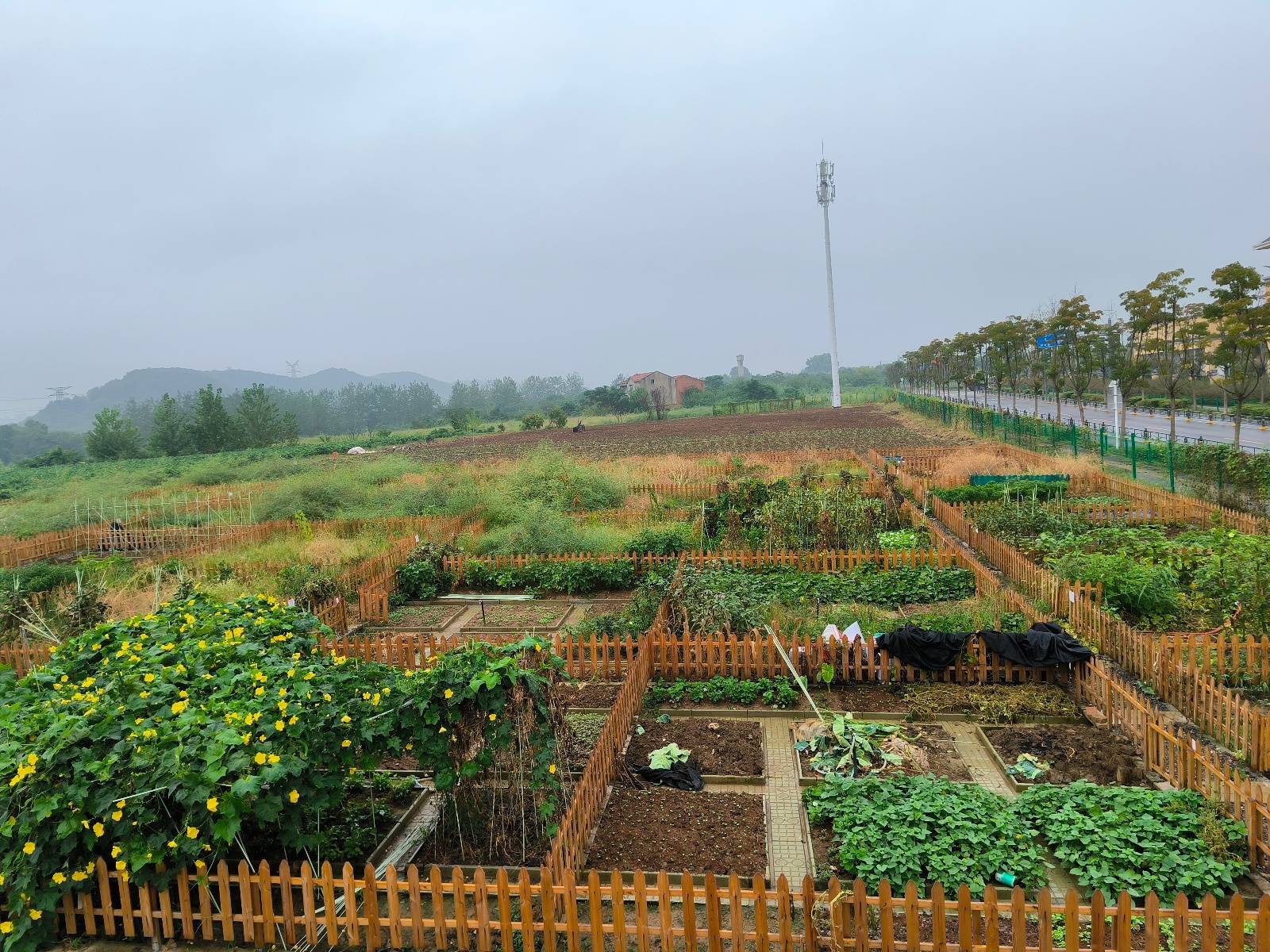 “汉超”来了个村支书：6年前他带村民办“村超”